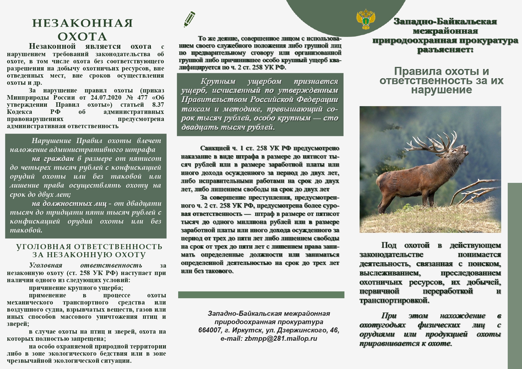 Правила охоты и ответственность за их нарушение.