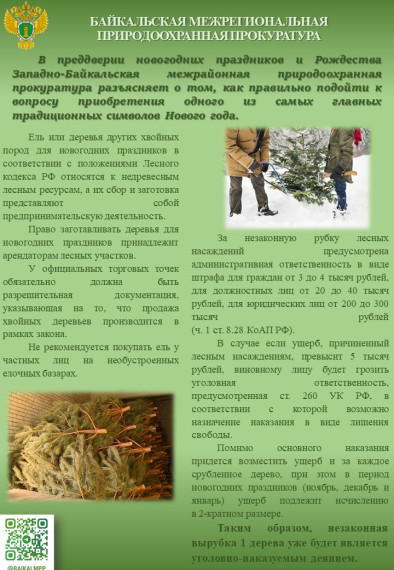 По приобретению одного из самых главных традиционных символов Нового года. По приобретению одного из самых главных традиционных символов Нового года.
